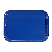 �l�I�g���[�@�m�r�@�u���[�@�P�P�O�X�T�O�O