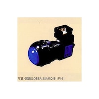 �ƌ��������{�^���X�C�b�`�@��