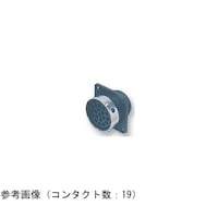 �t�s�f�O�Q�O�Q�W�r���Z�v�^�N���T�C�Y�Q�O