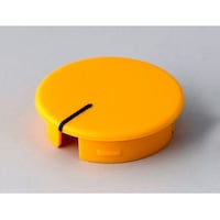 �L���b�v�@�v�P�V�D�T�~�c�P�V�D�T�����@�O�D�O�R�T�����@�C�G���[�@�P�O���@�`�S�P�Q�O�P�O�S