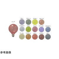 �o���[���J���[�����v�@�f�X�T�@�X�J�C�@�z