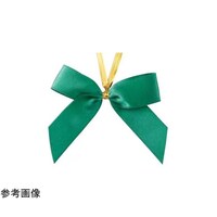 ���{���^�C�@���ʃT�e���@�O���[���@���@�Q�O���@�U�P�|�W�Q�O�|�U�T�|�P