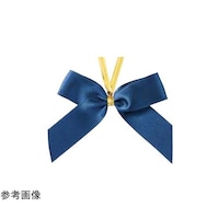 ���{���^�C�@���ʃT�e���@�l�C�r�[�@���@�Q�O���@�U�P�|�W�Q�O�|�U�U�|�P