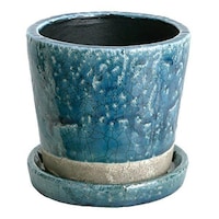 �t�����[�|�b�g�@�_���g���@�~�b�h�i�C�g�u���[