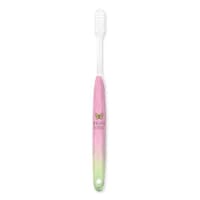 ���u���V�@�R�ہ@���u���V�@�a���т��@�s���N