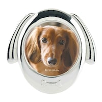 �t�H�g�t���[���@�b�������@�C�k�@�y�b�g�@�V���o�[