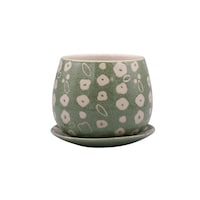 �A�ؔ��@�|�[���b�V���|�b�g�@�a�^�C�v�@�O���[��