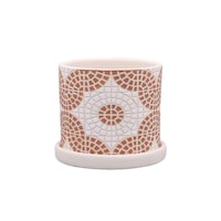 �A�ؔ��@�t���[�[�|�b�g�@�k�@���C�g�u���E��