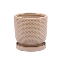 �A�ؔ��@�j�[�h�|�b�g�@�`�^�C�v�@�k�T�C�Y�@�u���E��