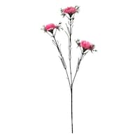 ���ԁ@�J�[�l�[�V�����X�v���[�@�z���C�g�@�s���N