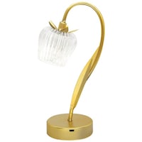 �X�^���h���C�g�@�k�d�c���C�g�@�ڂ�