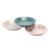 �v���[�g�@�i�`�������J���[�@�p�X�^�M�@�R����