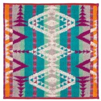 �����[�X���̃^�I���n���J�`�@�Q�O�O����