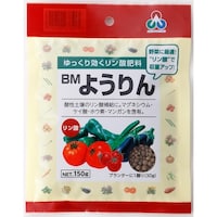 �a�l�悤���@�P�T�O��