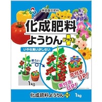 �����엿�悤���v���X�@�P����
