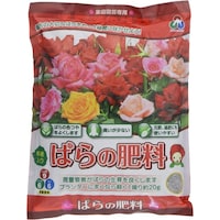 �΂�̔엿�@�T�T�O��