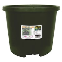 �`�y�|�b�g�@�S�V�T�^�@�J�[�L