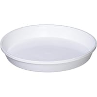 ���M�T���[���@�V���@�v