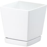 �N�G���`���[�|�b�g�i�v���[�g�t�j�@�T���@�v