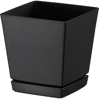 �N�G���`���[�|�b�g�i�v���[�g�t�j�@�T���@�a�j