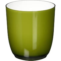 �o�n�m�@�o�|�R���@�O���[��