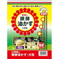 �V�j���y�������@�嗱�@�T�O�O��