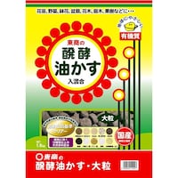 �V�j���y�������@�嗱�@�P�D�W����