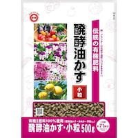 �V�E�`���̔��y�������@�����@�T�O�O��