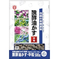 �V�E�`���̔��y�������@�����@�T�O�O��