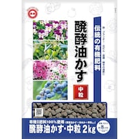 �V�E�`���̔��y�������@�����@�Q����