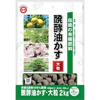 �V�E�`���̔��y�������@�嗱�@�Q����