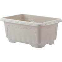 �N�C�[�����C�h�@�T�O�O�^�@�z���C�g