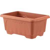 �N�C�[�����C�h�@�T�O�O�^�@�u���E��