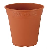 ���[�A�|�b�g�@�Q�S�O�^�@�u���E��