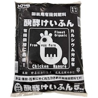 ���y�P�C�t���@�T����