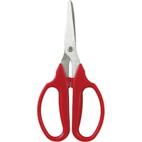 �X�e�����X���}�����@