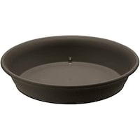 �G�R���@�v���[�g�@�V���@�c�f