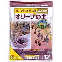 �I���[�u�̓y�@�P�Q�k