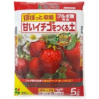 �Â��C�`�S������y�@�T�k