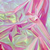 �p�[���N���X�@�s���N�@�T��