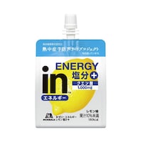 �����[���[�@�G�l���M�[�����������{�@�P�W�O���@�U��