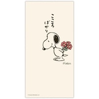 �j�V�����X�k�[�s�[���n�t�����[������΂���~�U