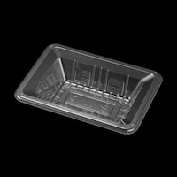 �t���[�c�e��r�s�q�Q�S�O�y�G�t�s�R�`���[�p�~�Q�O