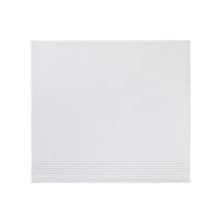 �׎��̐�i�r�`�h�s�n�����h�y�t�l�h�j�@�O���[�~�P�O