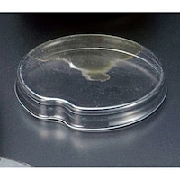 �l�P�P�|�R�T�O��������|���p�W�����P�O���~�S�W