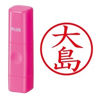 ��Ӂ@�l�[����@�l�[���L���[�u�@�s���N�@�哇