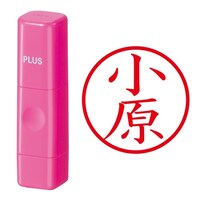 ��Ӂ@�l�[����@�l�[���L���[�u�@�s���N�@����