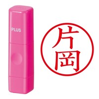 ��Ӂ@�l�[����@�l�[���L���[�u�@�s���N�@�Љ�