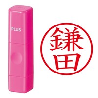 ��Ӂ@�l�[����@�l�[���L���[�u�@�s���N�@���c