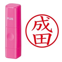 ��Ӂ@�l�[����@�l�[���L���[�u�@�s���N�@���c